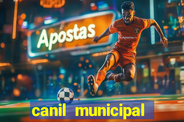 canil municipal porto alegre